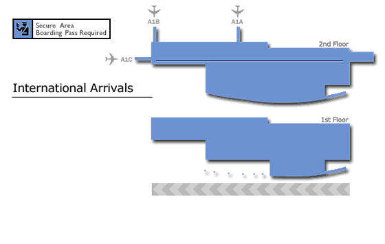 International Terminal